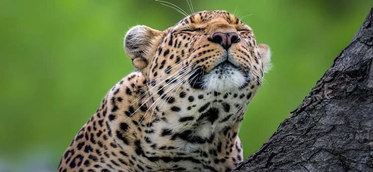 3-Days Masai Mara Group Joining safari from Nairobi