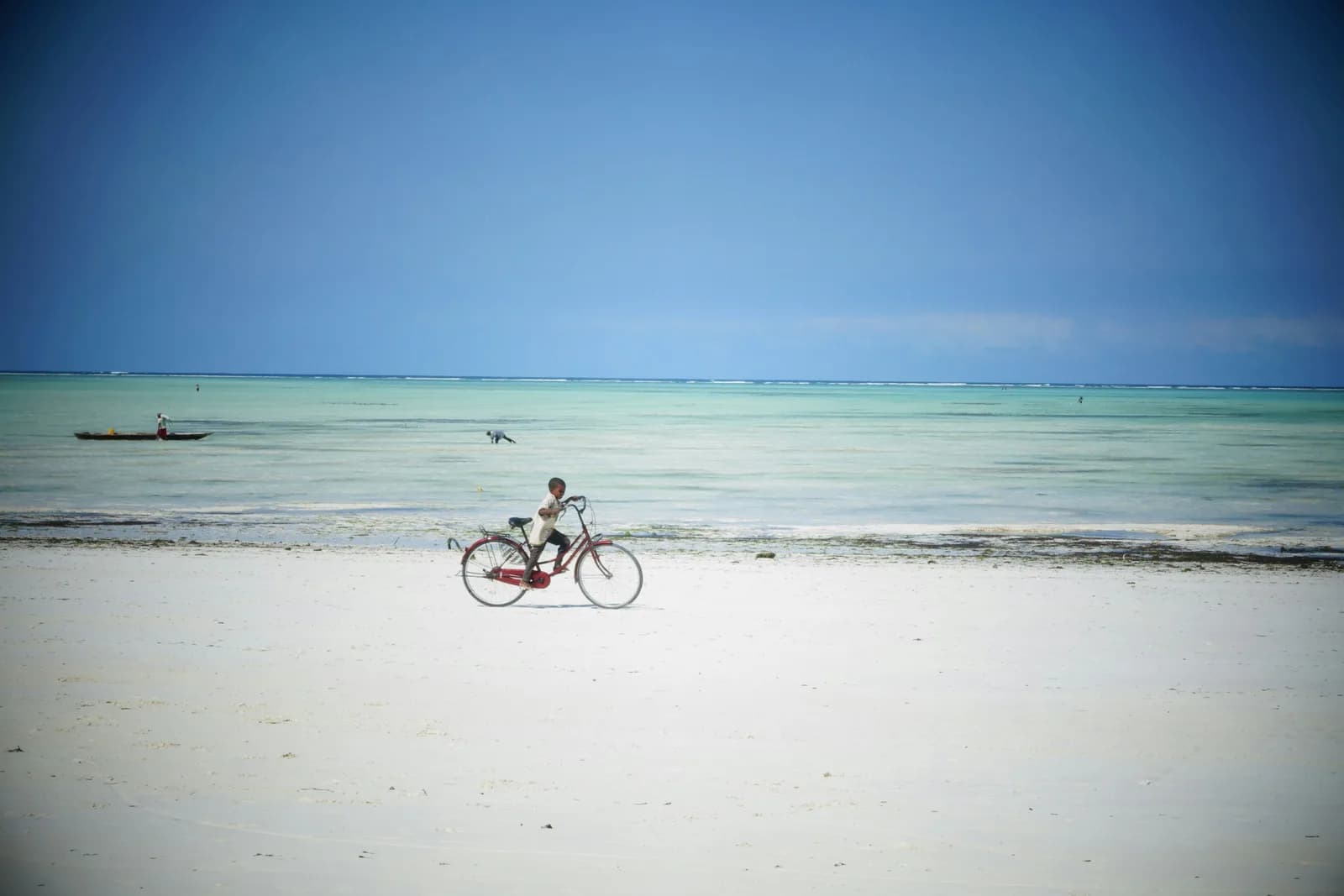 10-Day Tanzania Safari and Zanzibar Beach Holiday