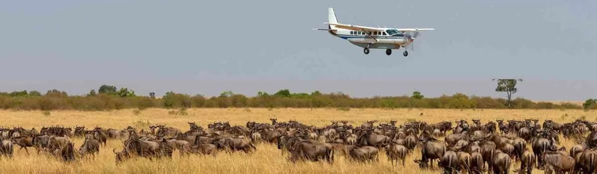 5 Days Samburu and Masai Mara Fly-In safari