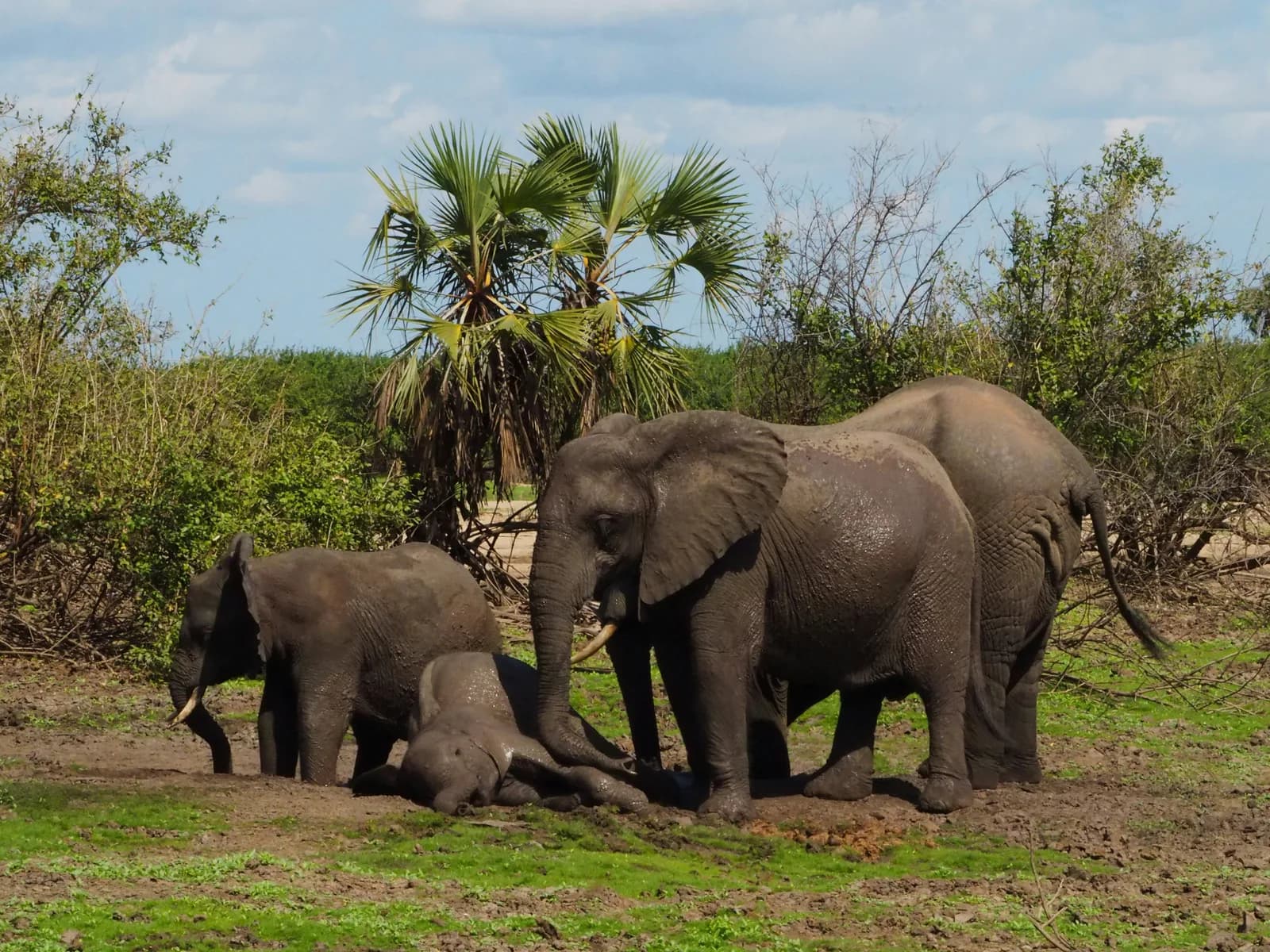 12 Days Kenya Family Holiday Safari and Diani Beach Vacation