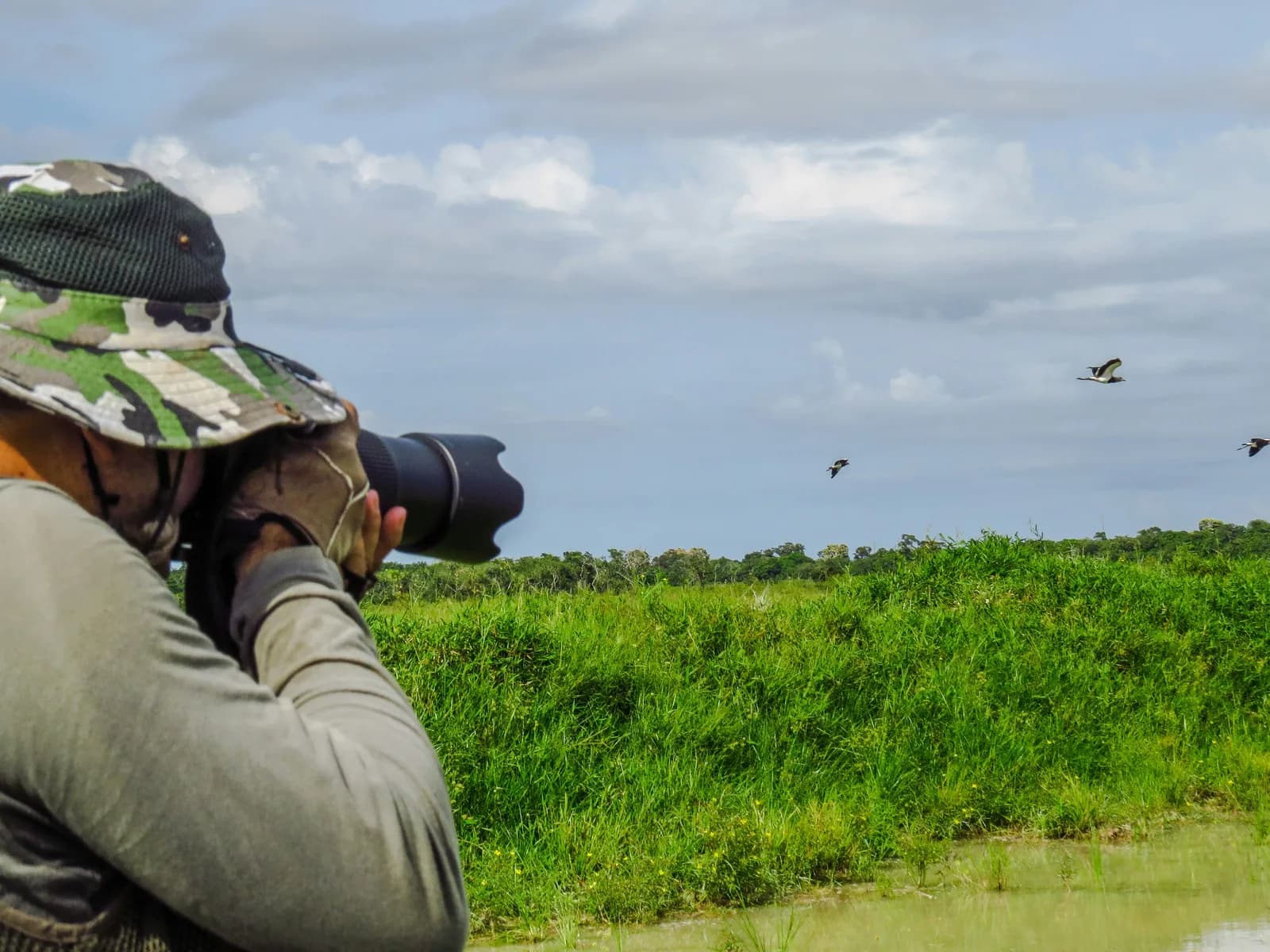 16 days Kenya Epic birding safari