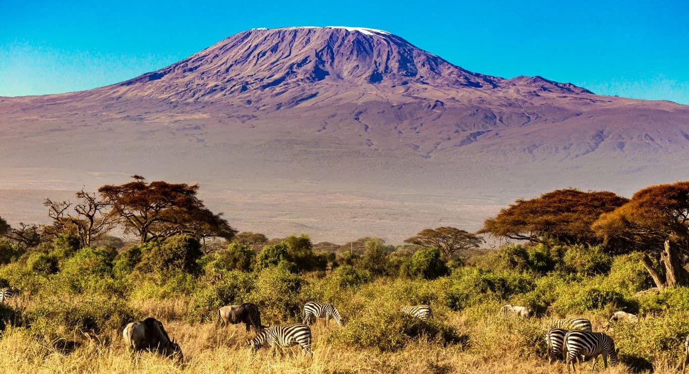 6 Days Amboseli,Lake Naivasha and Masai Mara Safari