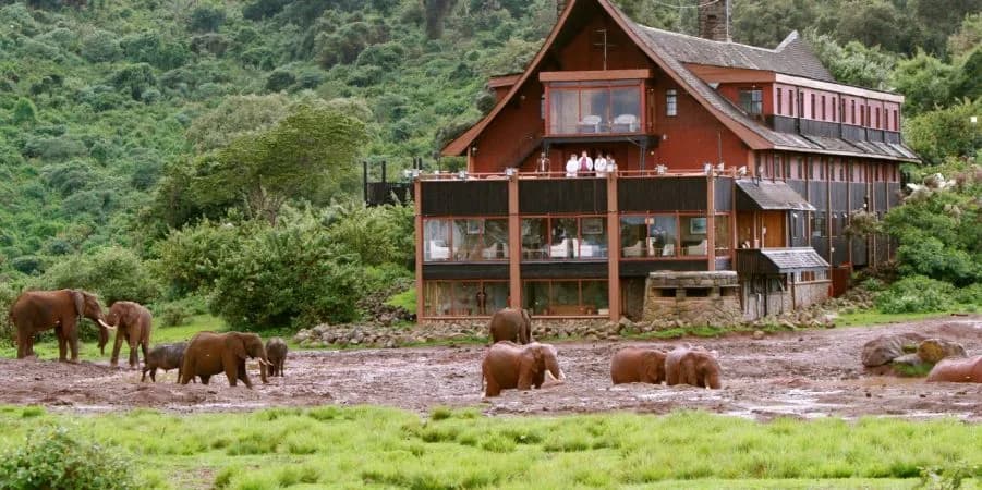 6 Days Aberdares, Sweetwater’s, Lake Nakuru Masai Mara lodge safari