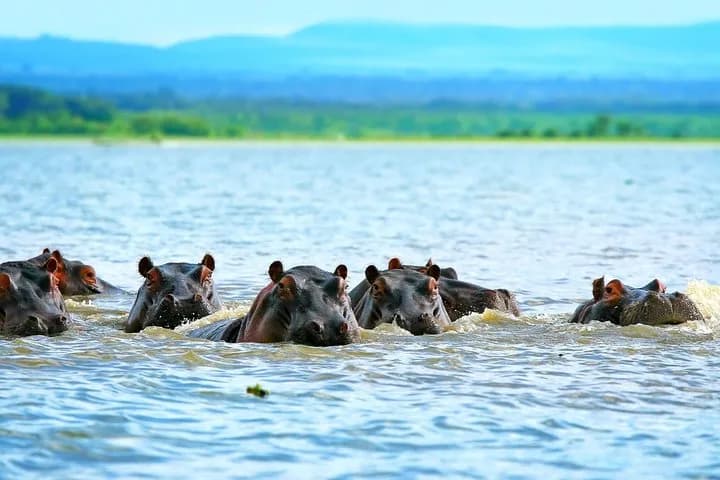 6 days Sweetwater’s, Nakuru, Masai mara safari