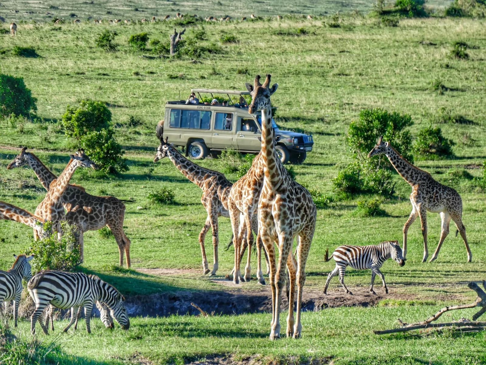 6 days Sweetwater’s, Nakuru, Masai mara safari