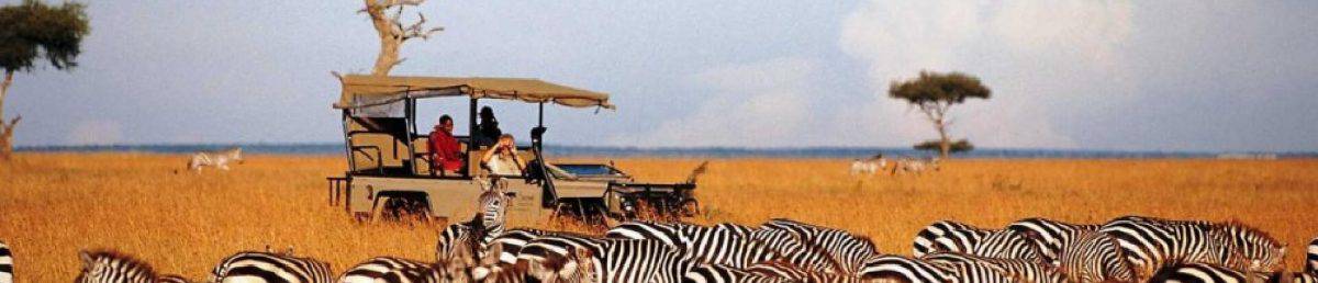 Luxury Kenya and Tanzania safaris