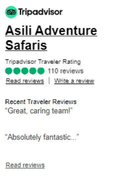 Trip advisor reviews