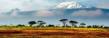 Amboseli national park safari