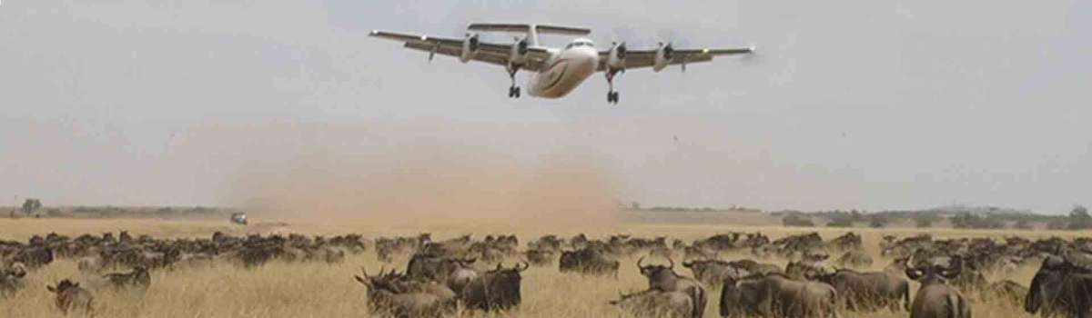 Samburu Masai Mara air safari | Samburu & Masai Mara by Air