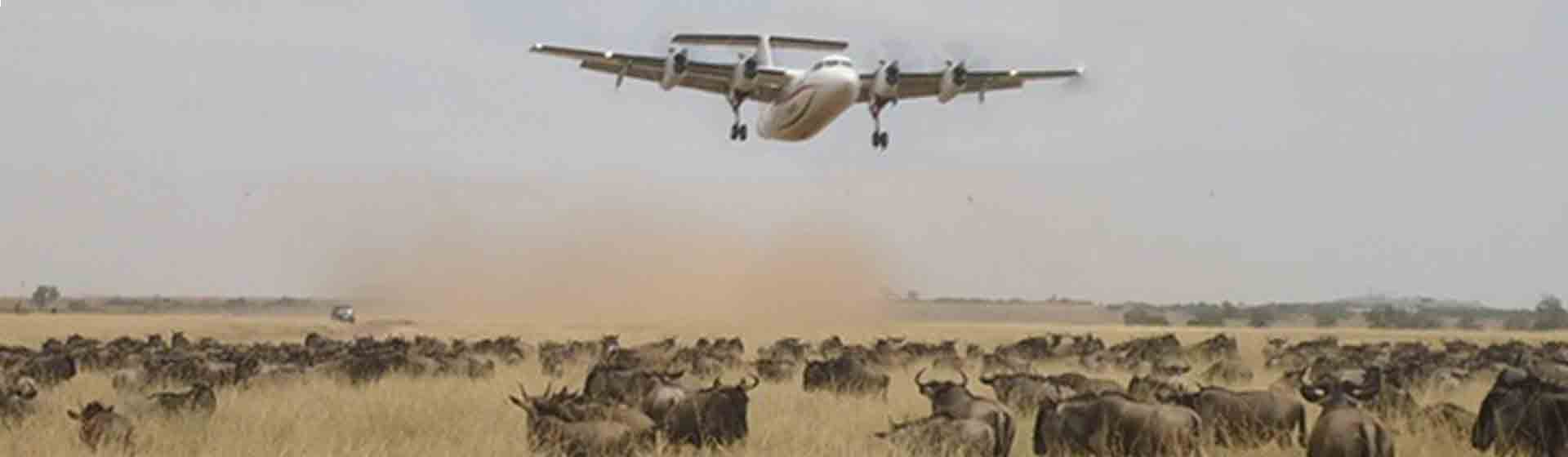 Samburu Masai Mara air safari | Samburu & Masai Mara by Air