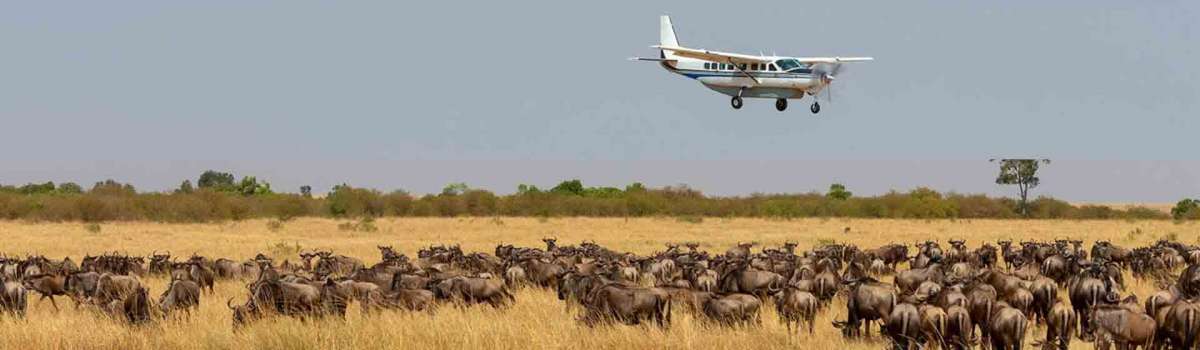 Masai Mara air safari | Fly in Masai Mara packages | Masai Mara flying safari packages