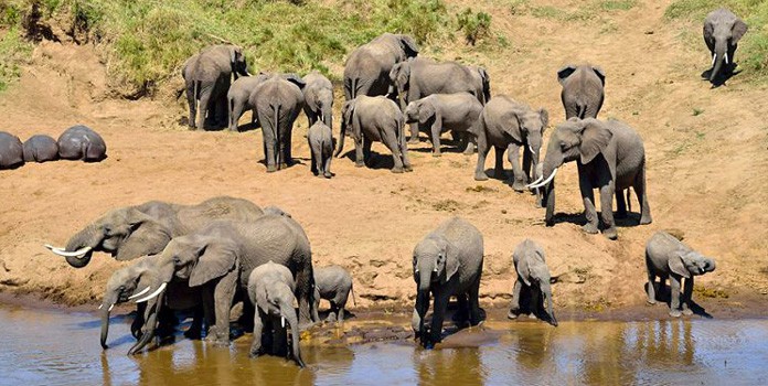  Kenya & Tanzania adventure