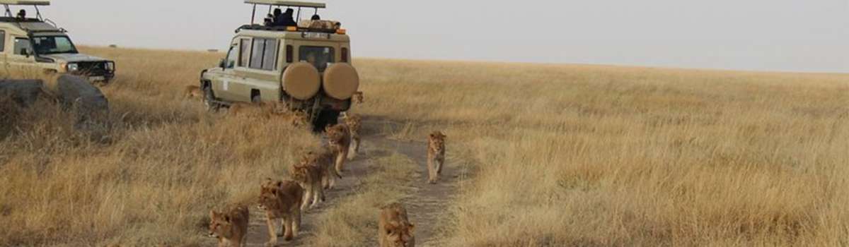 Kenya and Tanzania combined group sharing tour