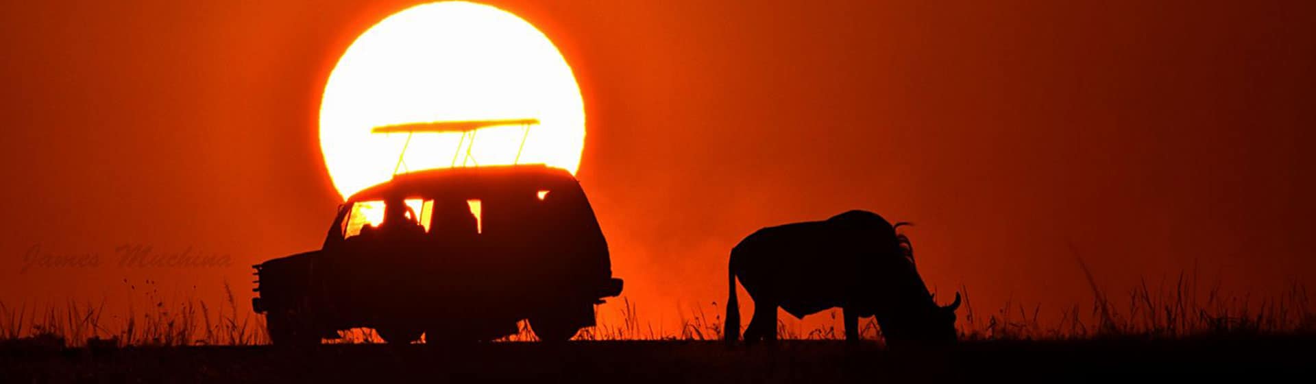 Masai Mara sunset tours | Masai Mara tours