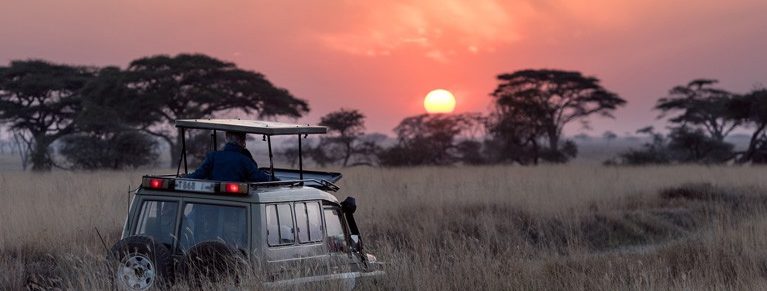 Wildlife safari in Tanzania | Tanzania safari & tour packages