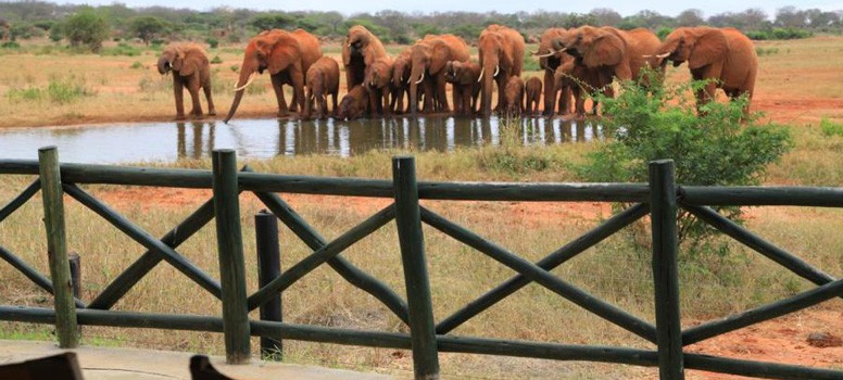 Hotels in Tsavo East National park