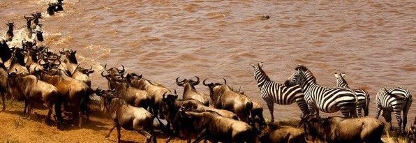 Combined Kenya Tanzania-Best of East Africa overland safari